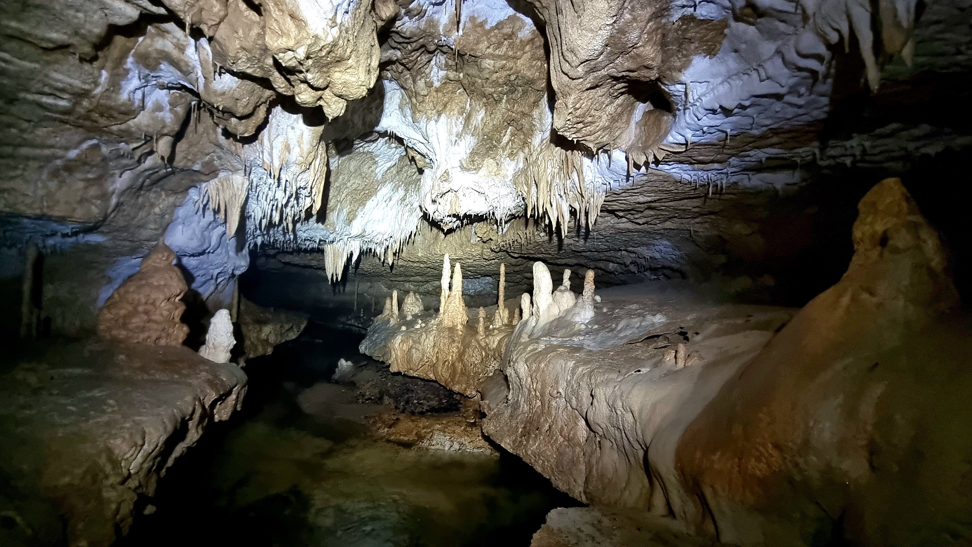 Peştera Poleva  - Image 3